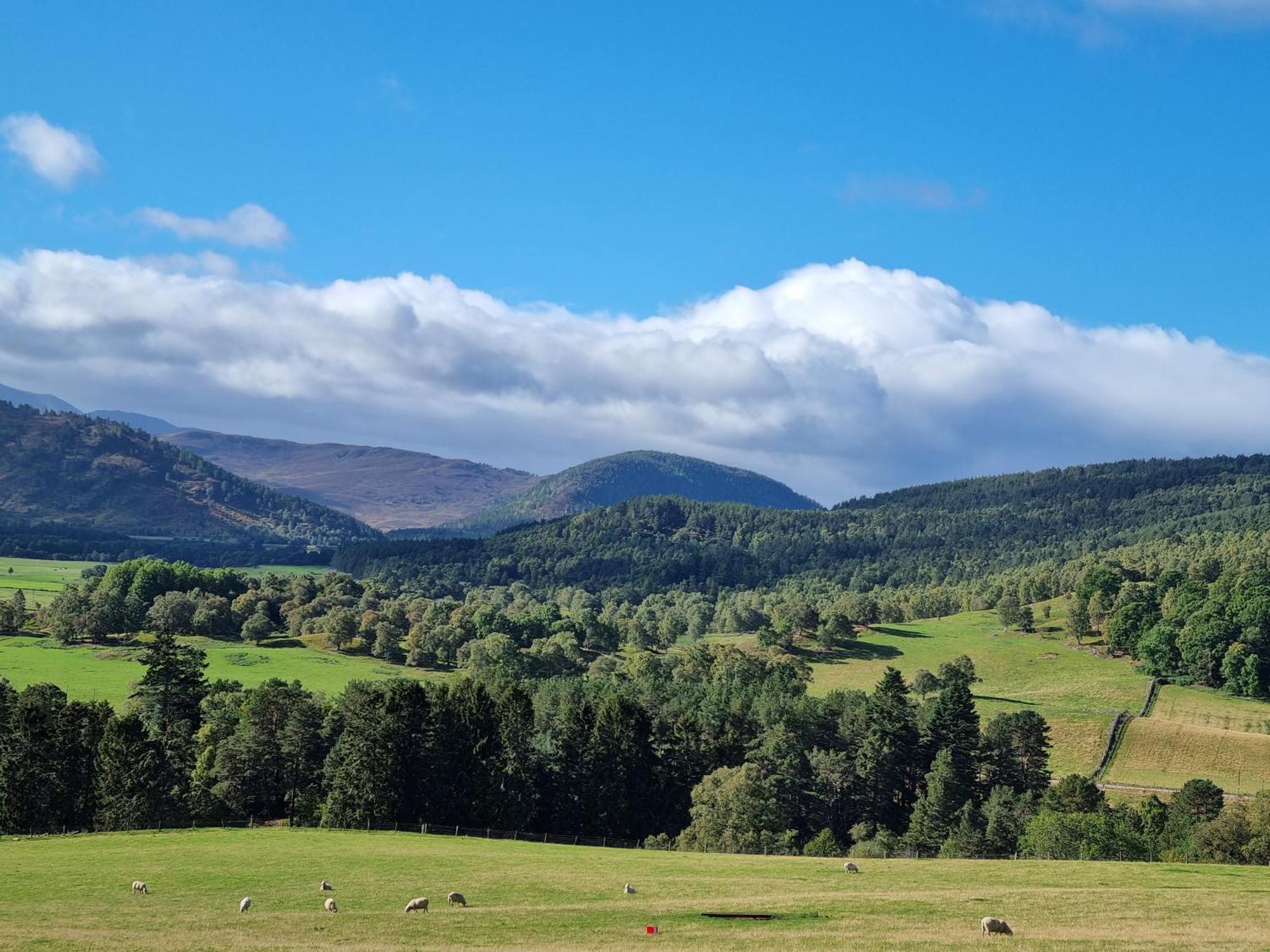 Bed and Breakfast Craggan Ballater Exterior foto
